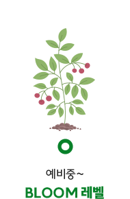 예비중~, BLOOM 레벨